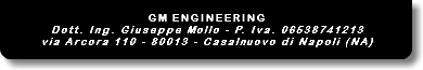  GM ENGINEERING Dott. Ing. Giuseppe Mollo - P. Iva. 06538741213 via Arcora 110 - 80013 - Casalnuovo di Napoli (NA) 